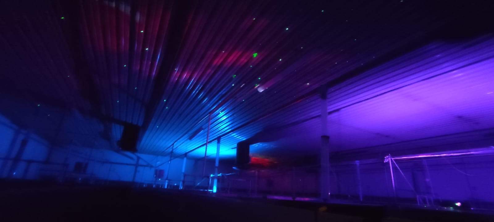 Blue and violet environmental lighting inside the Artificial Nature pig barn