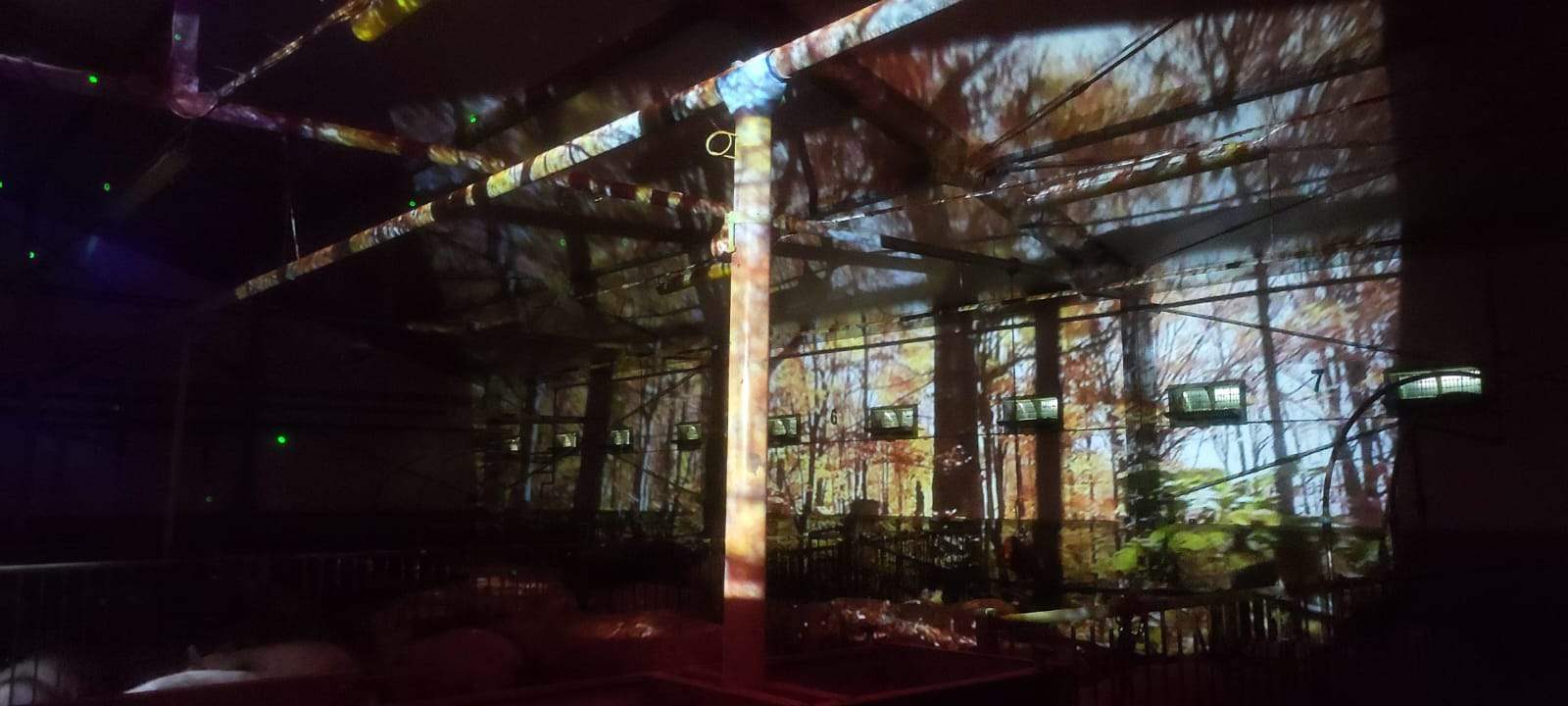 Forest projection across walls and structures in the Artificial Nature pig barn